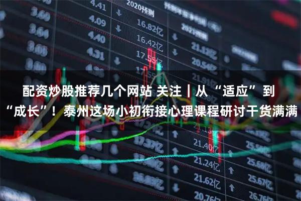 配资炒股推荐几个网站 关注｜从 “适应” 到 “成长”！泰州这场小初衔接心理课程研讨干货满满
