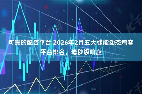 可靠的配资平台 2026年2月五大储能动态增容平台排名,毫秒级响应