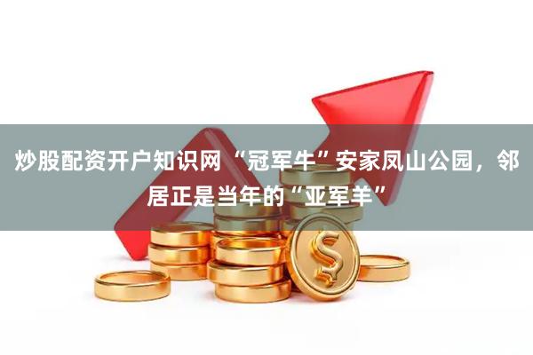 炒股配资开户知识网 “冠军牛”安家凤山公园，邻居正是当年的“亚军羊”